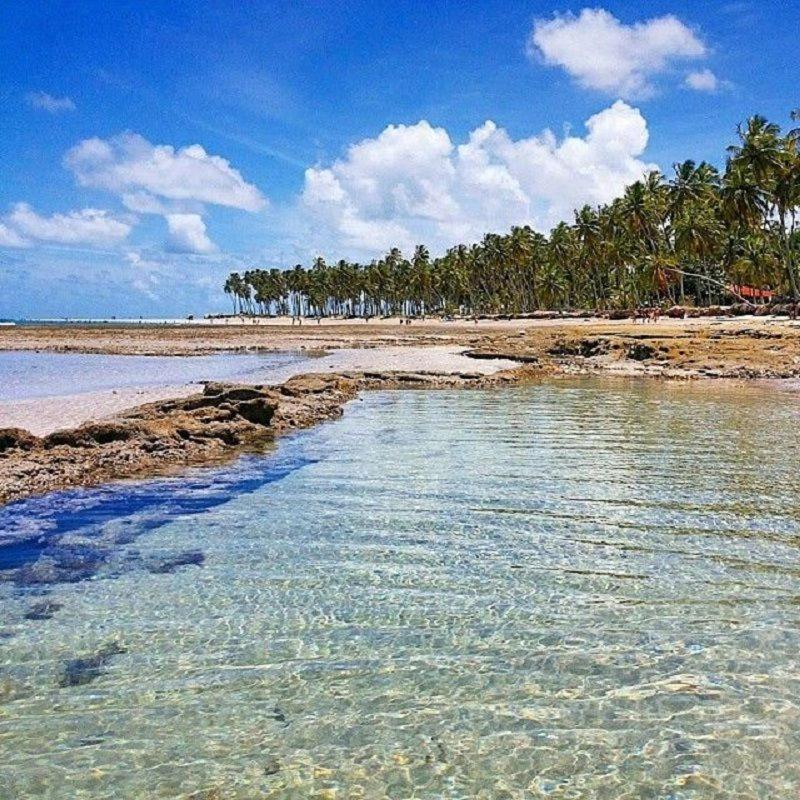 Eco Resort Praia Dos Carneiros By Canto Da Praia Dış mekan fotoğraf